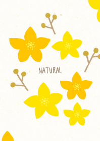 Flowers fruits dull color16