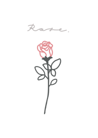 Rose /Pink White