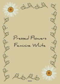 Beige Navy : ดอกไม้กดสำหรับผู้หญิง