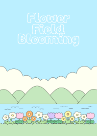 Flower field blooming