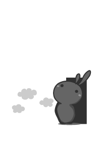 rabbit staring-121