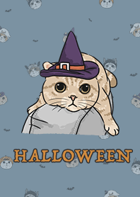 meow's halloween - pale denim