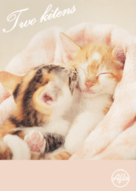 Two kitens