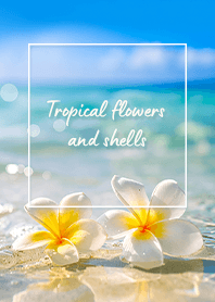 トロピカルフラワー (PR) 12 ベージュ