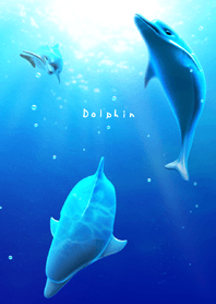 Dolphin theme