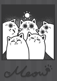 Meow J-dark gray (bw1)