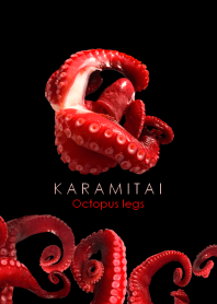 KARAMITAI～絡みたい～ Octopus legs
