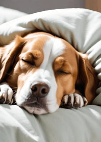 Mountain, Sea, and Moonlit Night 39C366