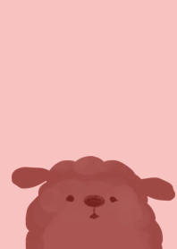 rose poodle