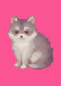 Raccoon Pixel Art Theme  Pink 01