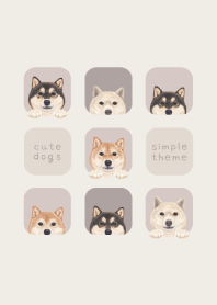 DOGS - shiba inu - BROWN GRAY
