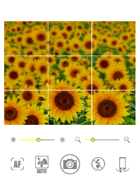Camera app Sunflower