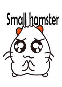 Lovely white hamster