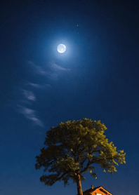 Bright Moon and Dawn 9A7f56