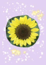 !!! sunflower smile
