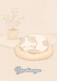 Cozy Lazy Cat: Yoshinaga