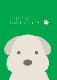 CLOSEUP OF FLUFFY DOG's FACE/VIRIDIAN