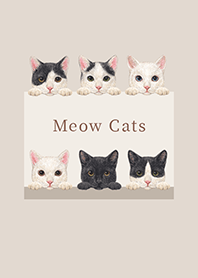 Meow Cats - Mixed breed cat 02 -