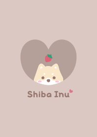 Shiba Inu2 Strawberry - brown