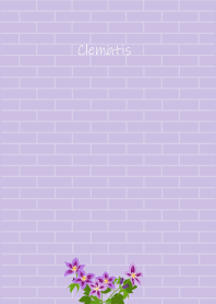 September's birth flower, Clematis