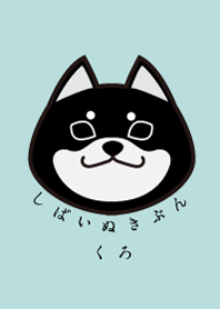 柴犬きぶん（黒柴）