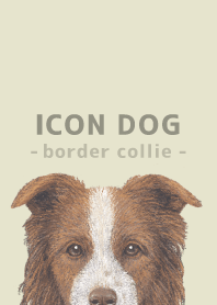 ICON DOG - Border Collie - PASTEL YE/06