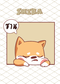 ชาน ใครไม่บะ ชิบะ 4 V12