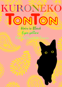 Black cat TONTON2