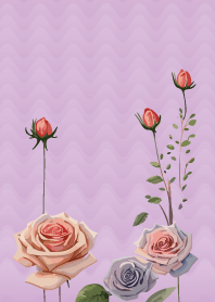light purple 薔薇空間