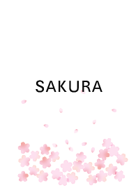 ふんわり優しい大人ピンクの桜の花