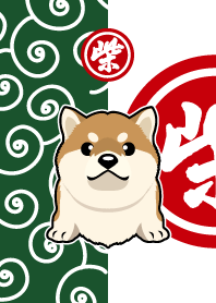 柴 ワンコ