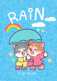 THE DOG : IN THE RAIN