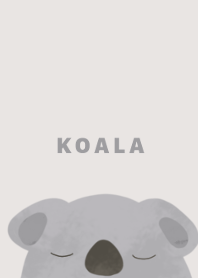 Koala animal