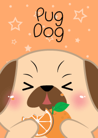 Pug Dog Love Orange Theme