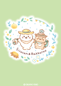 Sirotan's holiday in forest