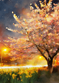 Beautiful night cherry blossoms#356