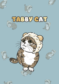 tabbycat7 / water blue .jp