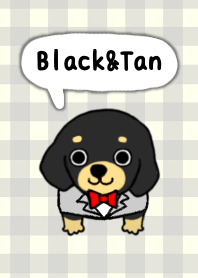 ブラックタンの子犬2