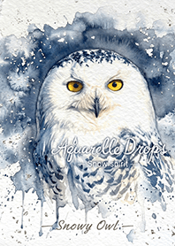 Aquarelle Drops - Snowy Owl -
