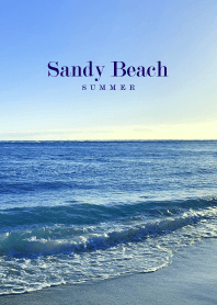 Sandy Beach HAWAII - SEA 5