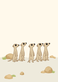 cute sneaky Meerkat8
