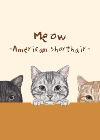 Meow -American Shorthair- AUTUMN COLORS