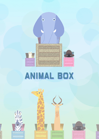동물 상자