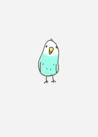 セキセイインコです