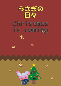Rabbit daily<Christmas is coming>