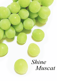 My favorite, the Shine Muscat3.
