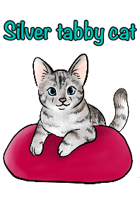 Silver tabby cat theme!