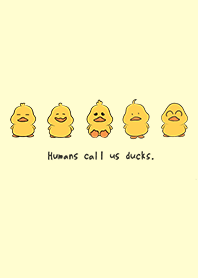 Humans call us ducks.