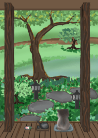 cat - courtyard