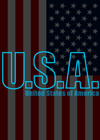 U.S.A @ American Joke